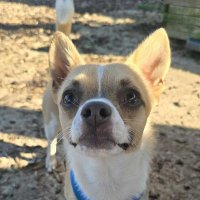 Spud (@spudcambs) Twitter profile photo