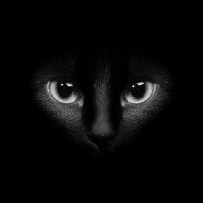 niiattey36's profile picture. 