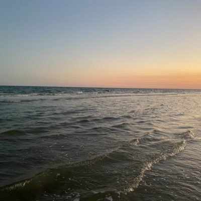 DTZHANG's profile picture. Bitcoin, Ethereum, Solana, Tesla, Netflix, Meta and Nvidia