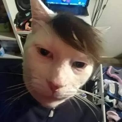 lalluuuuさんのプロフィール画像
