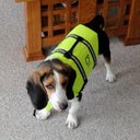 tim kiley - @timkiley1 - Twitter