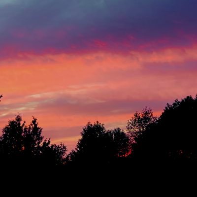 itsallaboutlaws's profile picture. Community and feminist activist. I might also have a small wine and food obsession...