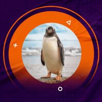 Mülteci Penguen (@mcpenquens) 's Twitter Profile