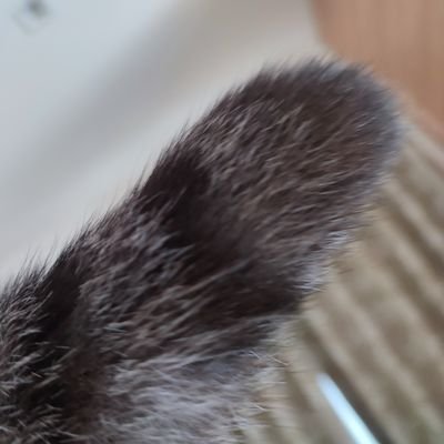 t4ds0JGtbD98275's profile picture. 