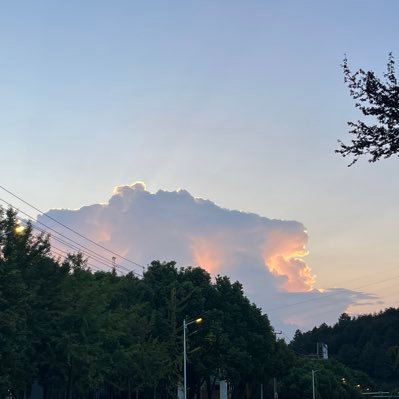 juven_melon's profile picture. 一个懒家伙