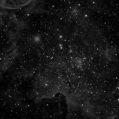 Wymademedo's profile picture. 