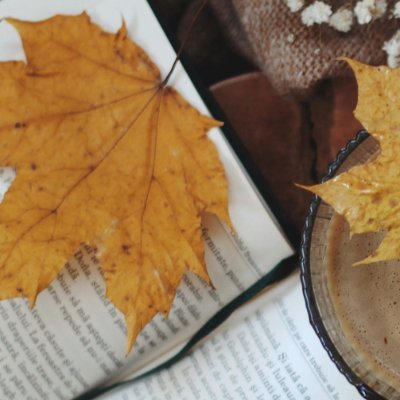 Tweets_Leslie's profile picture. 