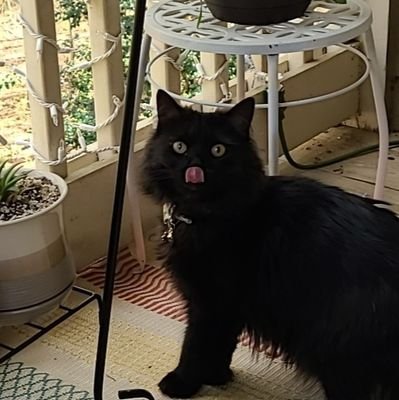 Moon_babe99's profile picture. She/Her,
Scorpio, 25, Multifandom Artist,  18+ Only, Minors DNI

https://t.co/NJLWS7nqyP
Tumblr: Anime-lover-mooncake
🦋: https://t.co/sbVjV1hqkl