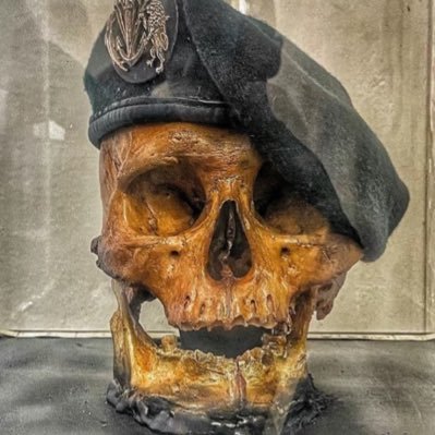 LucasGabri64371's profile picture. 