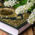 الشيخ /أبو عبدالله مفسر احلام معبر (رؤي) (@abd839477495752) Twitter profile photo الشيخ /أبو عبدالله مفسر احلام معبر (رؤي) (@abd839477495752) Twitter profile photo