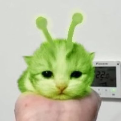 pletzeさんのプロフィール画像