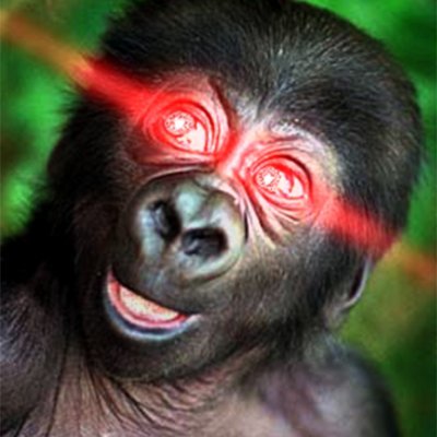 Joy-Monger.
Love is my Native Tongue. I aim to speak it on X.
My posts are neither entertaining nor financial advice.