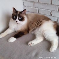 Ana Esmeralda (@anaesme19321111) 's Twitter Profile