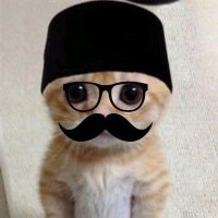 Fly me to the moon 🚀 (@yddadog) 's Twitter Profile