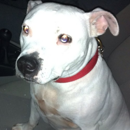 Mrs_EF's profile picture. 