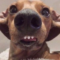 ivy; (@loyouts) 's Twitter Profile