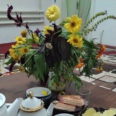 OrazgulG88668's profile picture. Garden