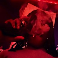Certified 💰 Getter (@big4bleeda556) 's Twitter Profile