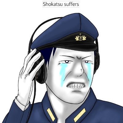 しょかつー*大和さんのプロフィール画像