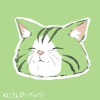 ねこすん@ヾ(*'ω'*)ノ (@neko_ragu86) 's Twitter Profile Photo ねこすん@ヾ(*'ω'*)ノ (@neko_ragu86) 's Twitter Profile Photo