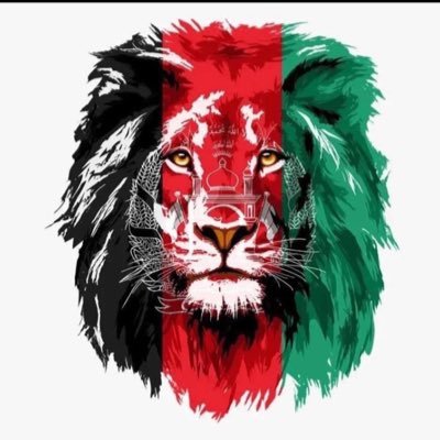 MMuneer002's profile picture. هر افغان می ‌د‌ زره سر ده