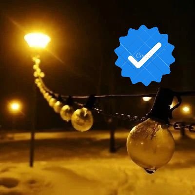 🌌🇨🇳🇯🇵🇺🇸only verified account follow back . 🐹follow me before your blue tick gone 😰 💯💯 🏜🏜🗺🏜🗺🏜🗺 .NATO is following me