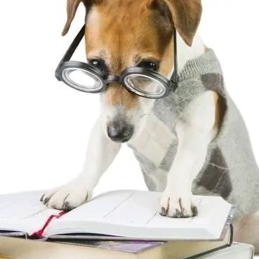 NanaDogg's profile picture. 