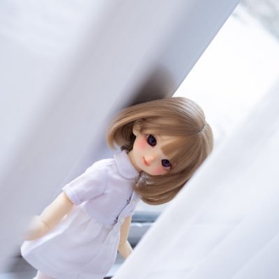 Moon_to_kki's profile picture. 🍊+🧸+🐶+🧺=🥰