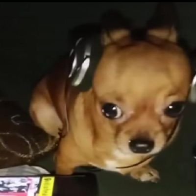 defuntobulante's profile picture. 🫩