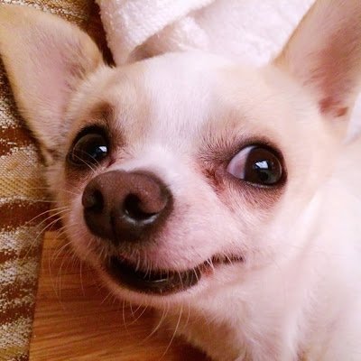 Ianyao007's profile picture. 从事大陆医院运营，专注成本、效率、人力资本、医保管理、商保拓展