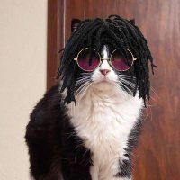 Michiberto (@michib3rto) 's Twitter Profile