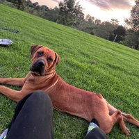 ManuBakar (@qs_manu) 's Twitter Profile Photo ManuBakar (@qs_manu) 's Twitter Profile Photo