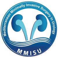MMISU (@mmisu_meeting) 's Twitter Profile Photo MMISU (@mmisu_meeting) 's Twitter Profile Photo