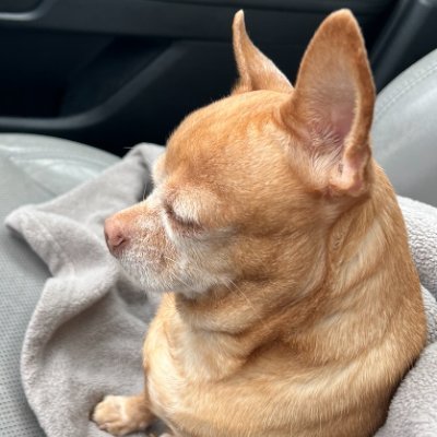 tinyPBD's profile picture. 19 |  3D Generalist | he/him/his :d

full portfolio: https://t.co/1BM4iUBIxx