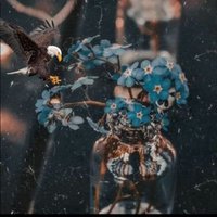 Gülsen Çankal (@gulsencankal) Twitter profile photo