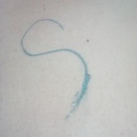 animala (@_mujer_de_) 's Twitter Profile