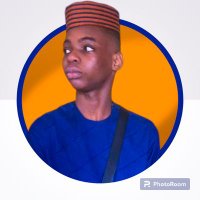 Adeshinayomi🧑💻🇳🇬 (@adeshinadev) 's Twitter Profile