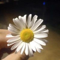 beybûn21 (@beybun1301) 's Twitter Profile Photo beybûn21 (@beybun1301) 's Twitter Profile Photo