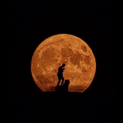 SEM262605's profile picture. Mustafa Kemal ATATÜRK 🇹🇷
LEGEND 🌍
Carpe diem ⏳️

Eskişehir 📍