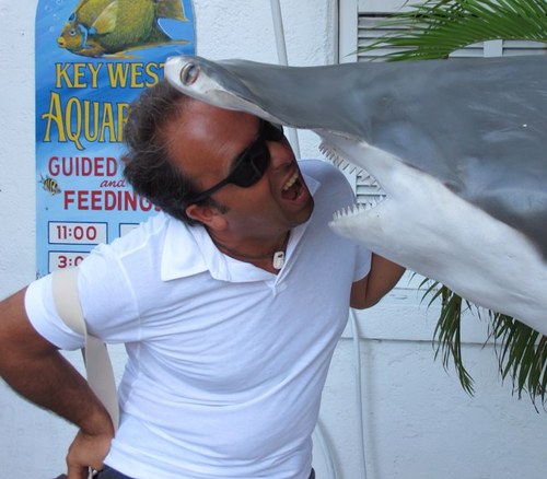 fradelia123's profile picture. Vivi la vita! Morire senza aver vissuto è come non essere mai nati.