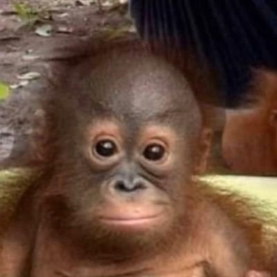 romp34nos's profile picture. 