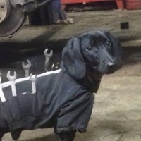badconfig (@badconfig_eth) 's Twitter Profile