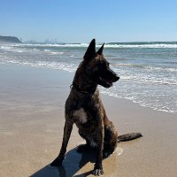 Muddy Fields (@muddy_fieldsx) 's Twitter Profile Photo Muddy Fields (@muddy_fieldsx) 's Twitter Profile Photo