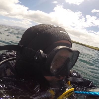 Marine ecologist. Biodiversity and restoration of marine habitats. Conservationist at heart.
Dad of two cailíní.🇮🇪🇪🇸🦁🦪🌊🌱