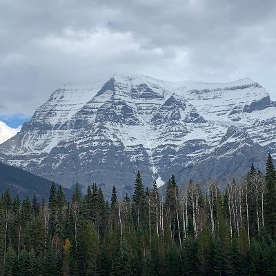 kami4374's profile picture. 