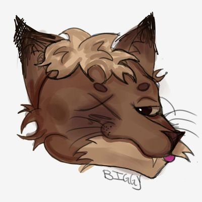 raphaelさんのプロフィール画像