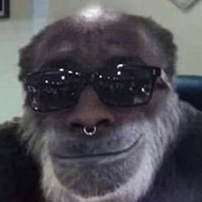 _STONEWASH's profile picture. URBAN SHAMAN