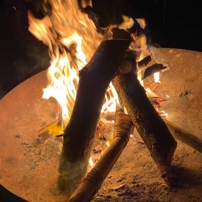 MFisch39's profile picture. 