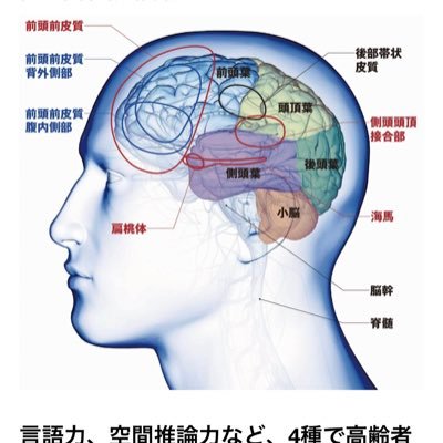gold_nao's profile picture. 都心在住・会社員・楽しい事探ししてます。