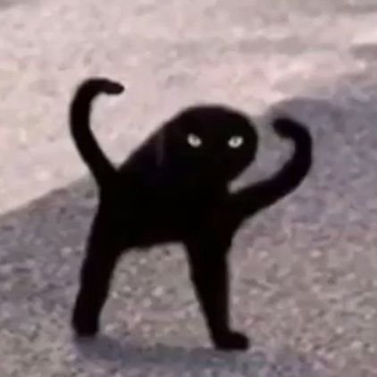 Hi, my name is Mick, or you can call me Mickey. I love going out whenever I get the chance, and I also love furry. Anyway, nice to meet you.